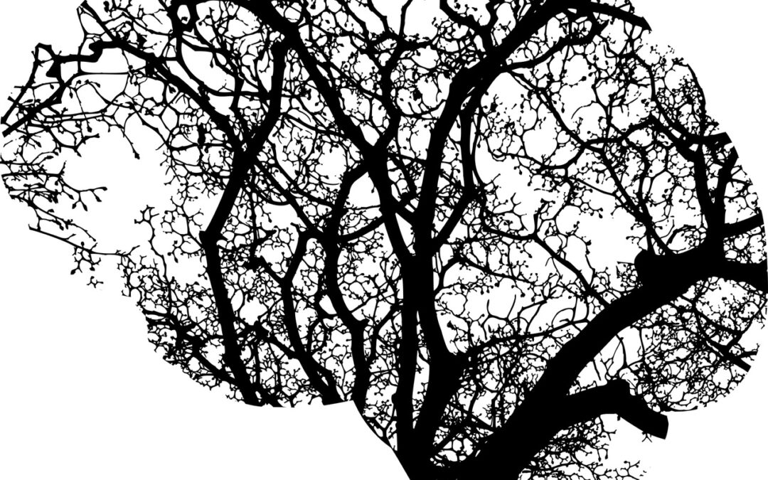 Cosa succede al nostro cervello quando viviamo uno stress prolungato?